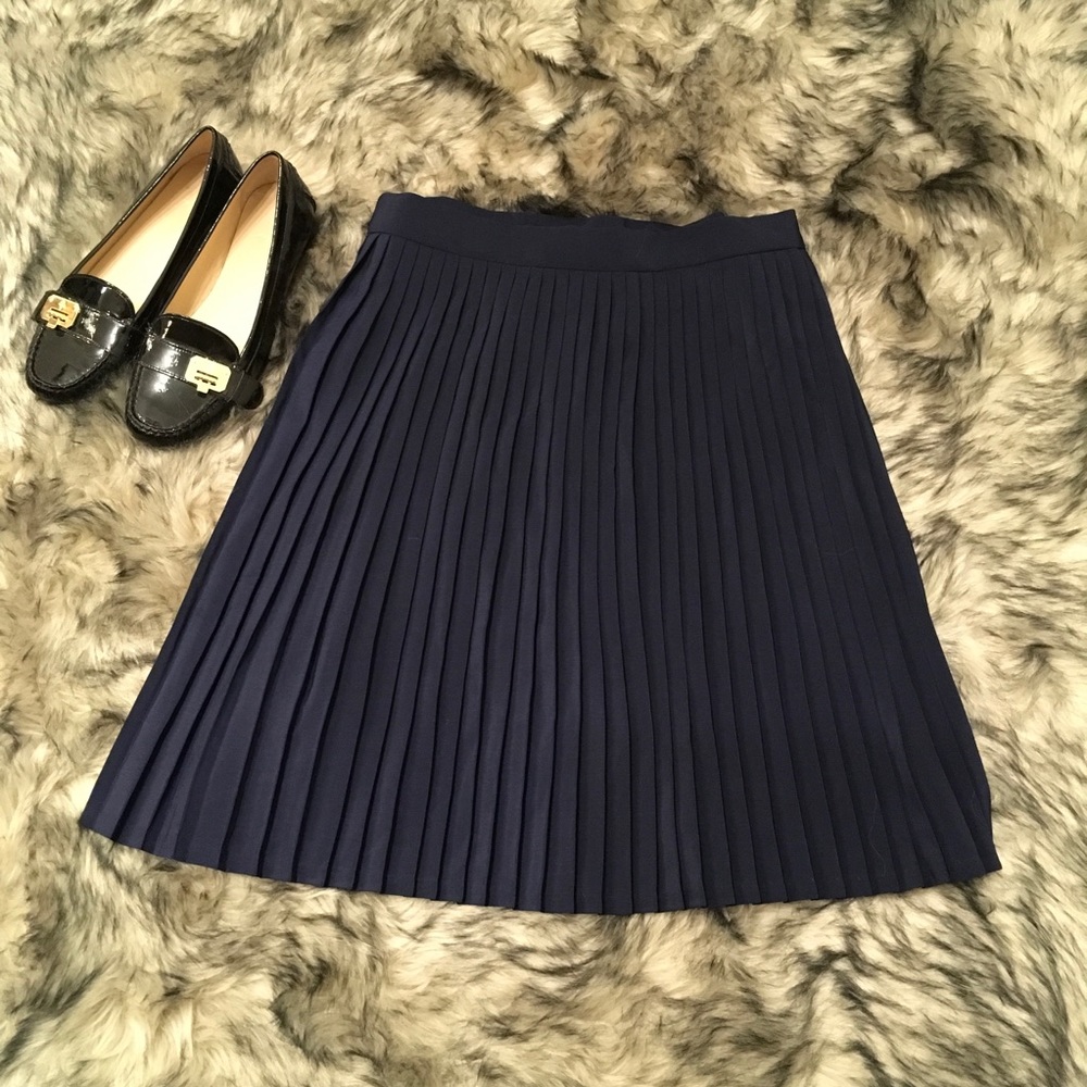 Beautiful Pleated American Apparel Skirt